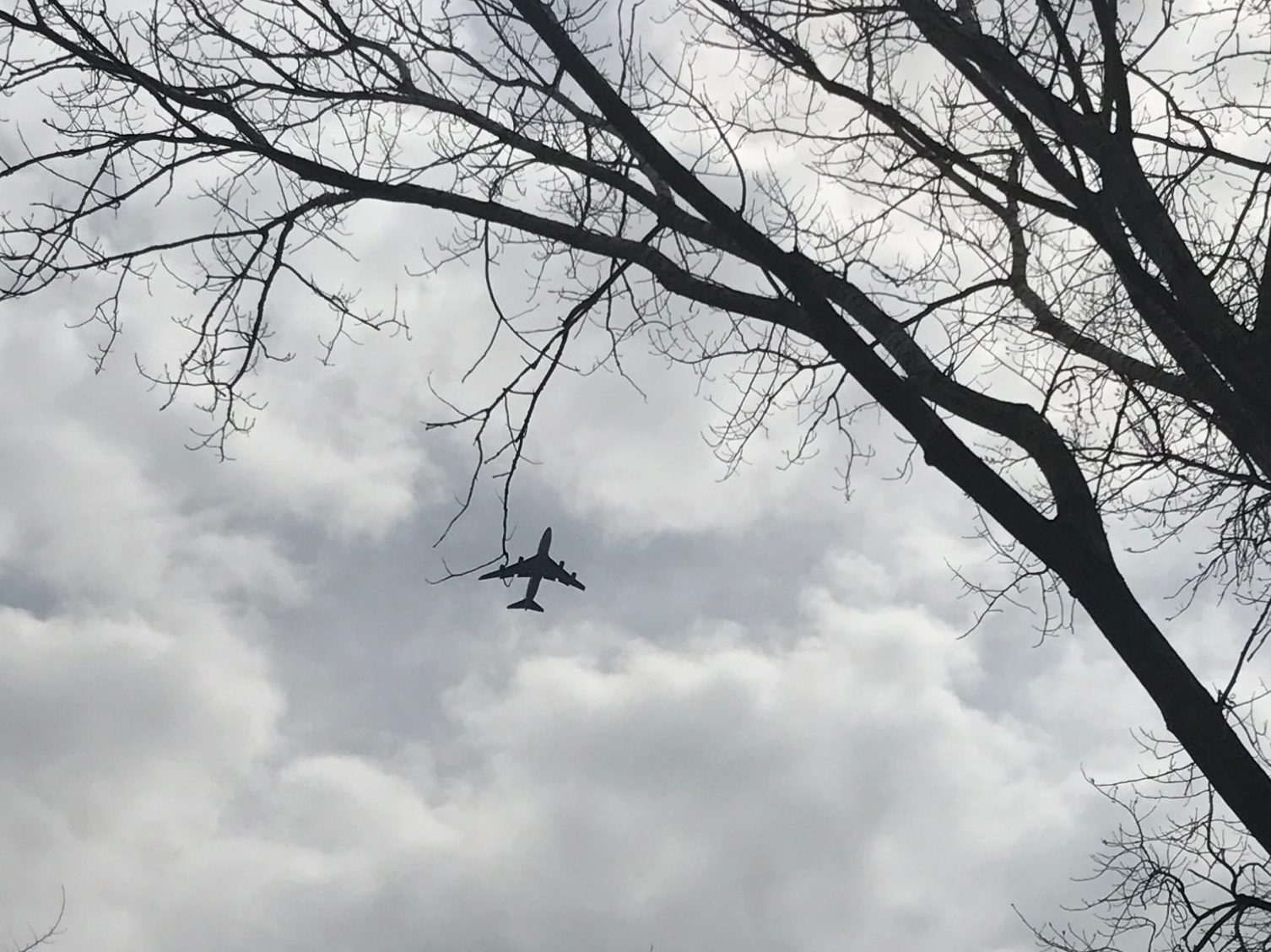 Large airplane with four engines flying above with tree limbs in the foreground.