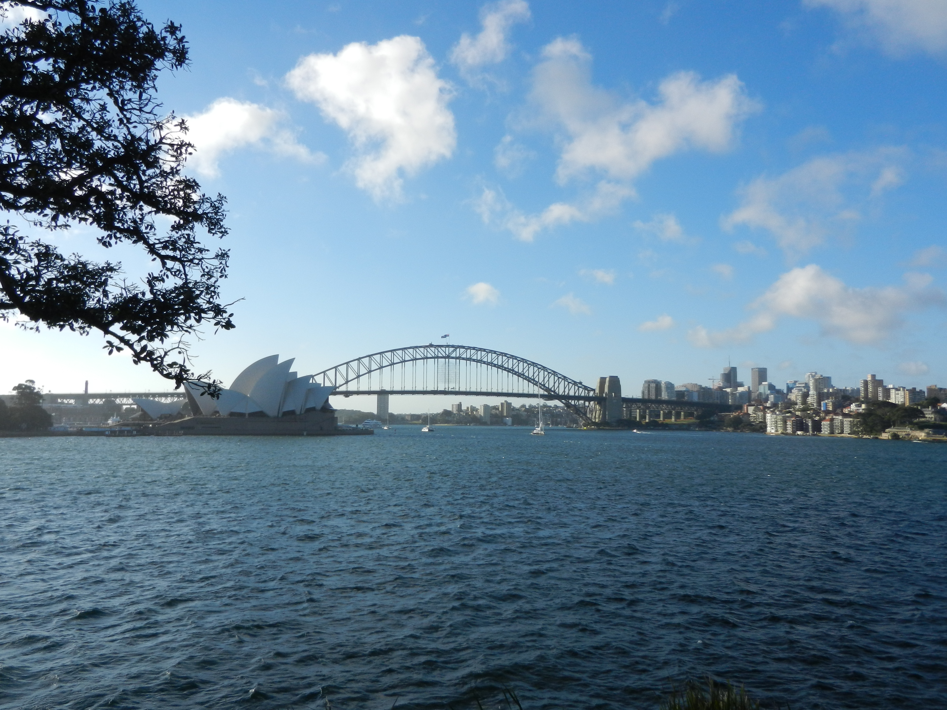 Sydney Opera House and Sydney Harbor Bridge.