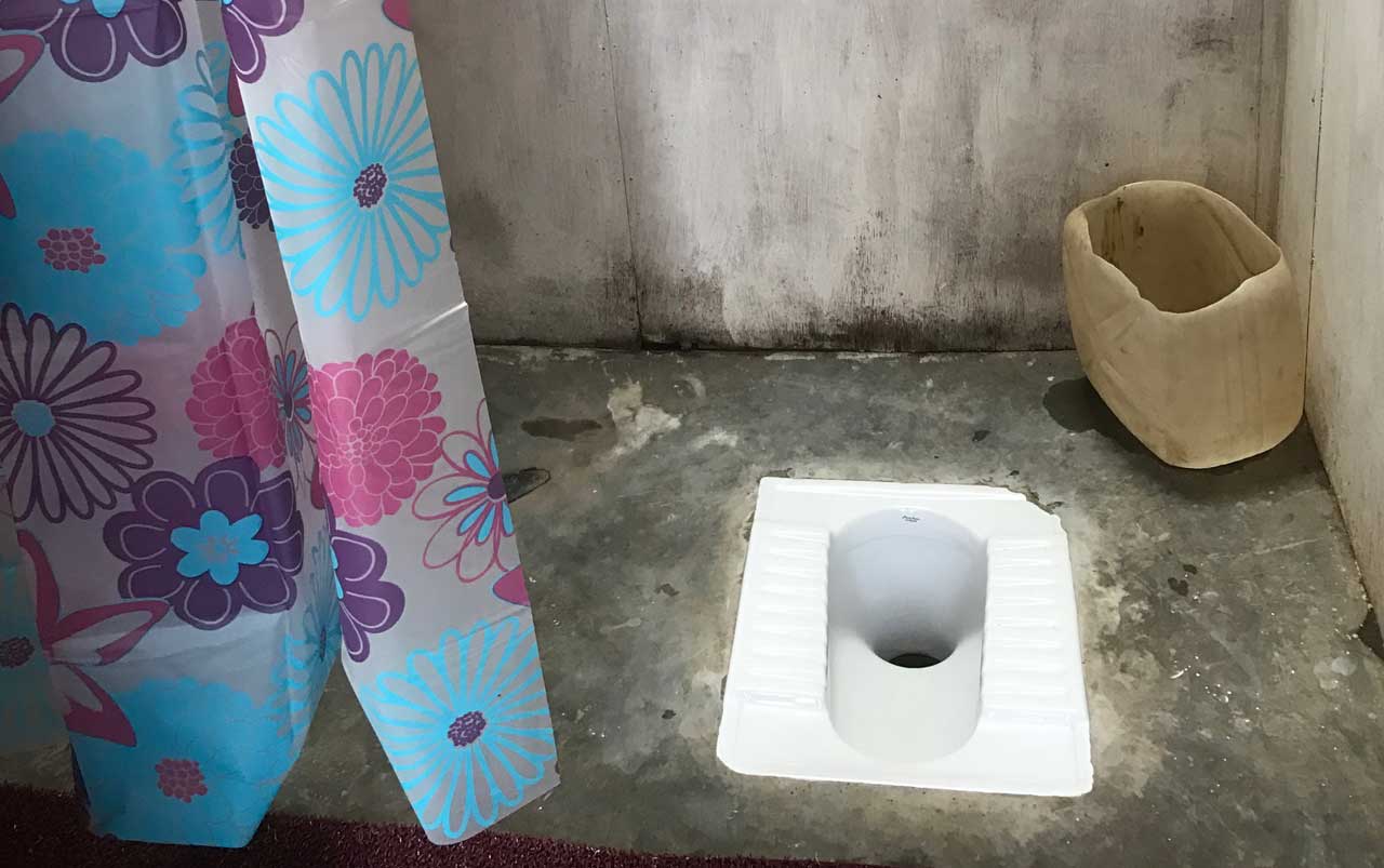Squat toilet on a concrete floor with a blue, pink, and purple floral printed shower curtain in the foreground.